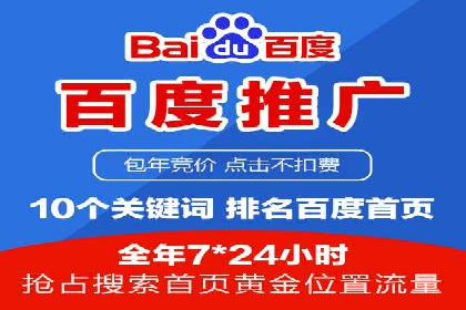 SEM广告投放中的数据监控与调整策略——以某品牌营销案例为例